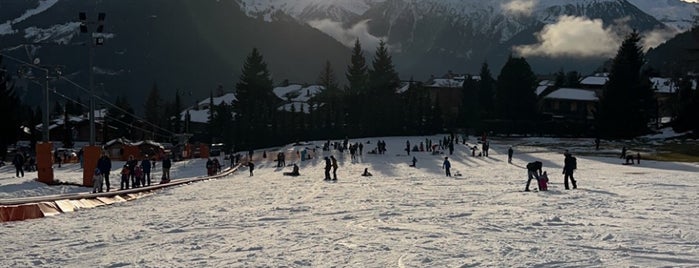 Ski area Morgins-Champoussin is one of Skigebiete.