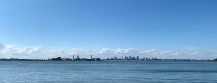 Squantum Beach is one of สถานที่ที่ Mike ถูกใจ.