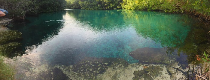 cenote manati is one of Tempat yang Disukai Allan.