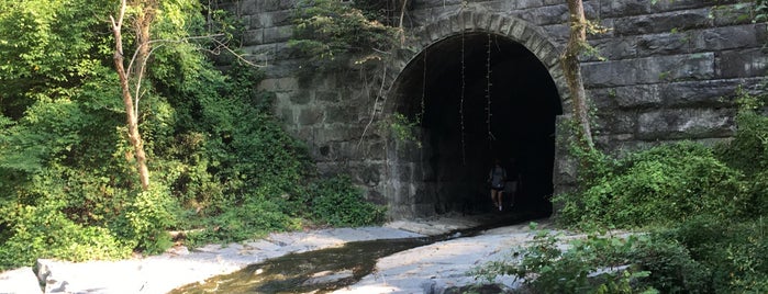 Patapsco State Park is one of Maryland Favorites.