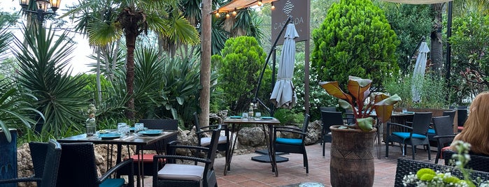 Cascada cocina & bar is one of Malaga - Marbella - Estepona.