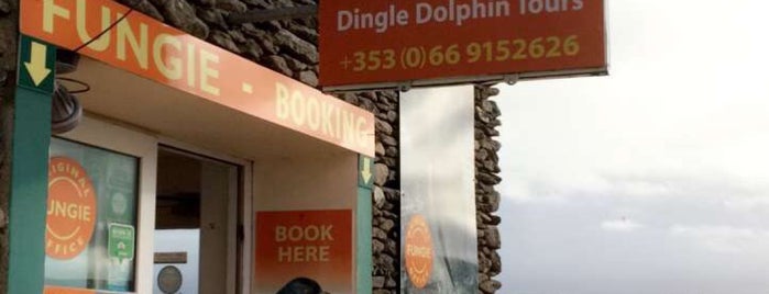 Dingle Dolphin Tours is one of In Dublin's Fair City (& Beyond).
