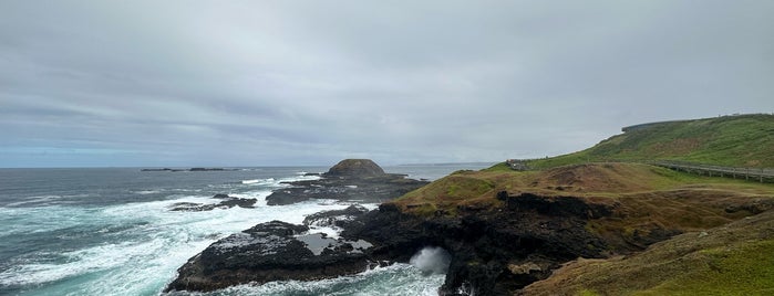 The Nobbies is one of Phillip island.