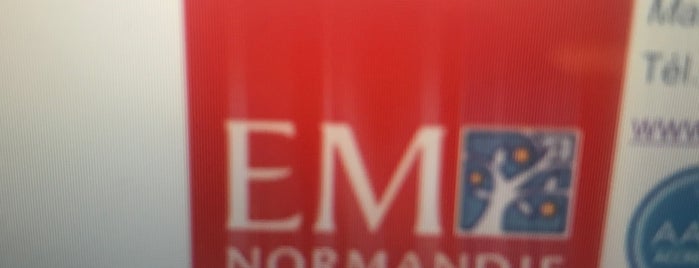 Ecole de Management de Normandie is one of Le Havre🇫🇷.