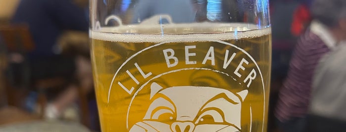 Lil Beaver Brewery is one of Central IL Breweries.