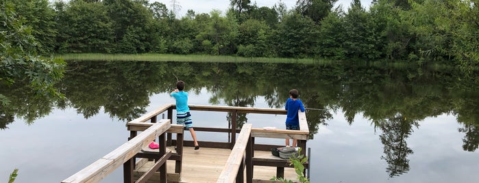 Buckhorn State Park is one of Wisconsin.