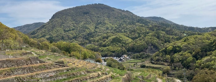 中山千枚田 is one of 図書館ウォーカー.