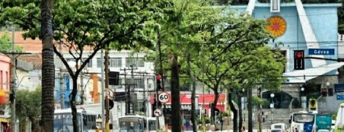 Avenida Guilherme Cotching is one of Bairro Vila Guilherme SP.