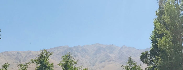 Artos Dağı is one of Eşref.