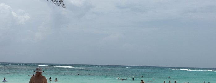 Barceló Maya Palace Deluxe is one of Joséさんのお気に入りスポット.