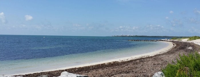 Virginia Key Beach Park is one of Local's Guide to Miami's Beaches.