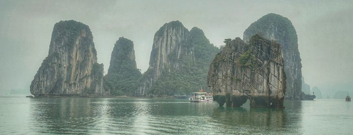 Ha Long Bay is one of Lieux qui ont plu à Eliana.