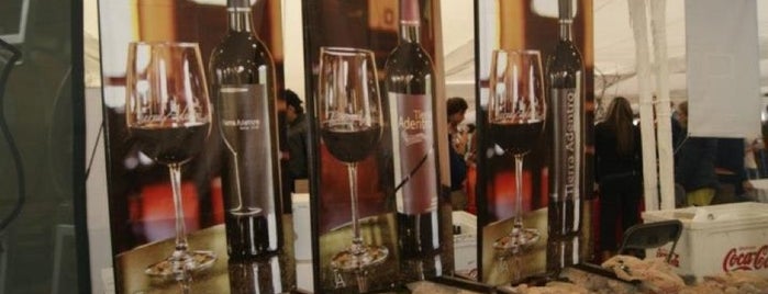 Festival 100 Vinos Mexicanos is one of Pepeさんのお気に入りスポット.