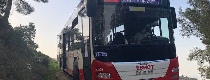 6 Arıkent - F. Altay is one of İzmir ESHOT-İZULAŞ Otobüs Hatları.