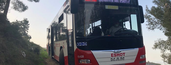 izmir eshot izulas otobus hatlari