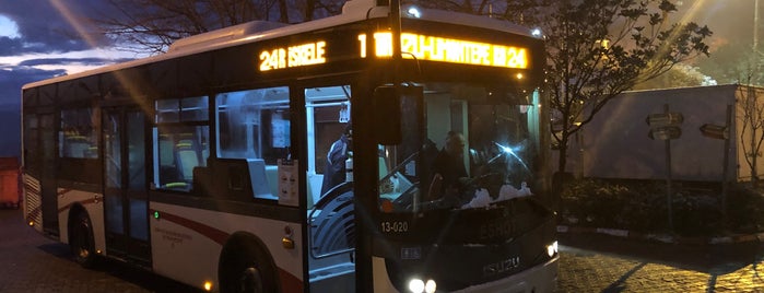 24 F. Altay - Kavacık is one of İzmir ESHOT-İZULAŞ Otobüs Hatları.