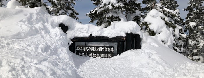 東館山スキー場 is one of 滑ったところ.