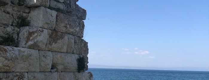 Parion Antik Kenti is one of ÇkaleBkesirBursa.