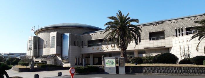 JEJU NATIONAL MUSEUM is one of 박물관, 미술관.