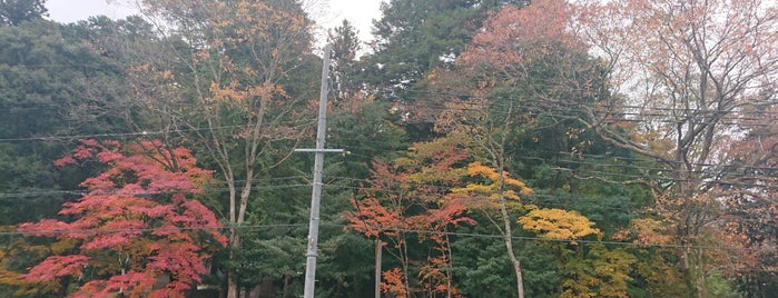 安国寺 (但馬安國禅寺) is one of いつか/また行きたい旅先.