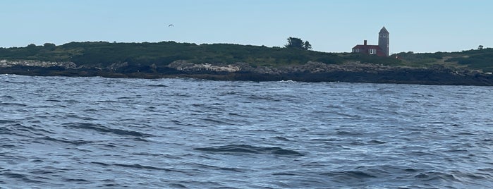 Damariscove Island is one of Maine list.