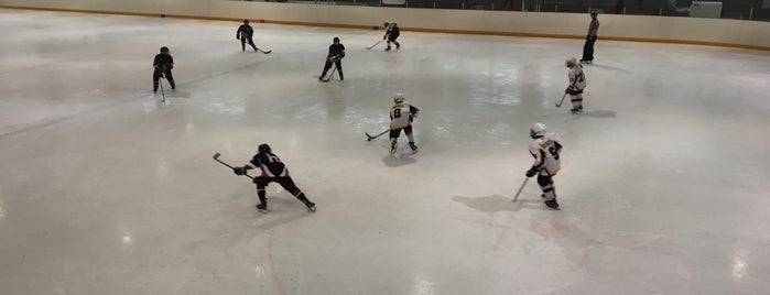 Снежные Барсы is one of хоккей.