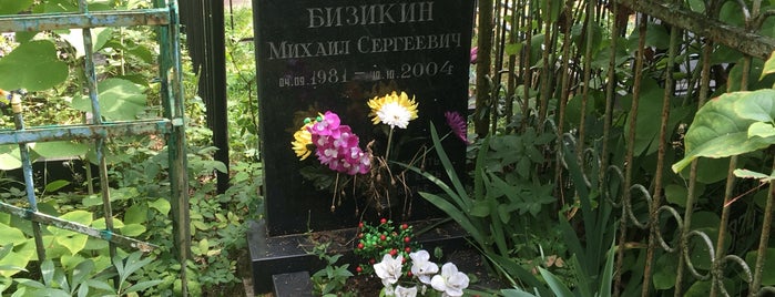 Бабушкинское кладбище is one of новый.