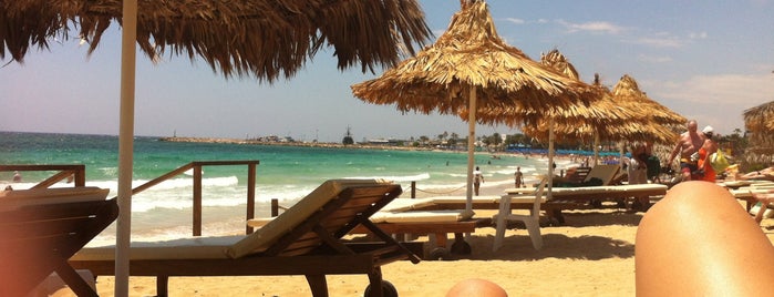 Paradisos Beach is one of Ayia places.