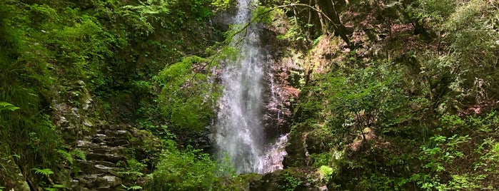 Hossawa Falls is one of 東京.