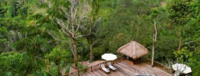 Nandini Bali Jungle Resort & Spa is one of С Артёмовной.