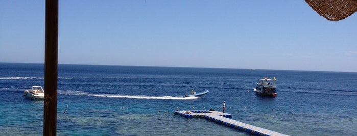 Sports Area at Concorde El Salam Hotel is one of Путешествую.