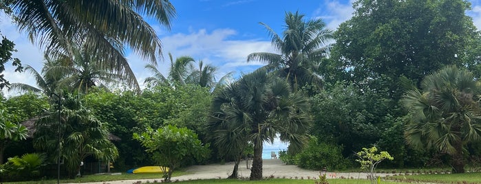 Praslin Island is one of Seychelles 🇸🇨.