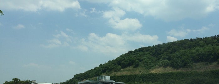 Gochang-Goindol Service Area - Seoul-bound is one of สถานที่ที่ Hyun Ku ถูกใจ.