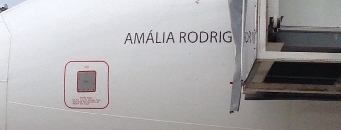 Amália Rodrigues A321 is one of TAP Planes Done.