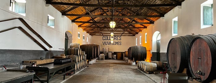 Adega Viúva Gomes is one of Portuguese Wine.
