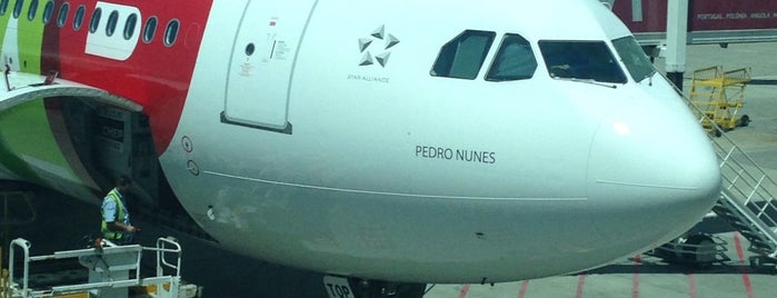 Pedro Nunes A330 is one of TAP Planes Done.