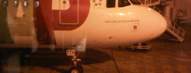 Aristides de Sousa Mendes A319 is one of TAP Planes Done.