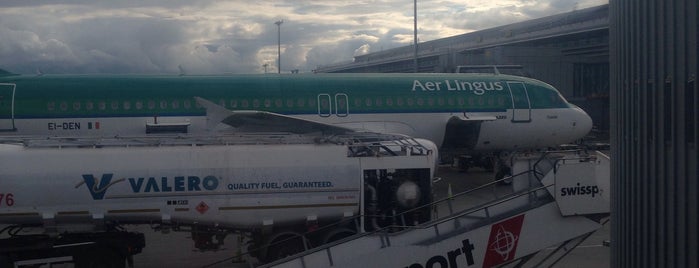 Aer Lingus Flight EI486 is one of Flights done..