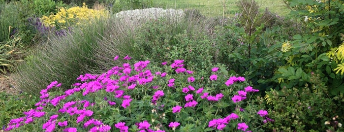 Harlow Garden Centre is one of Essex/Herts/Middx.