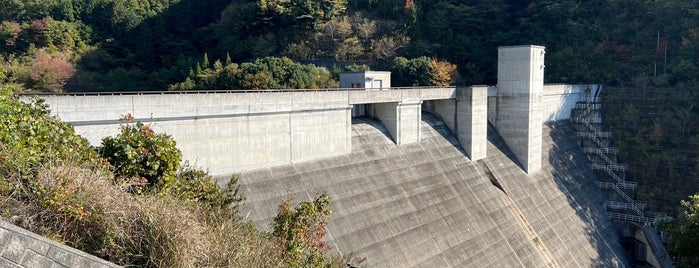 岩井川ダム is one of ダムカードを配布しているダム（西日本編）.