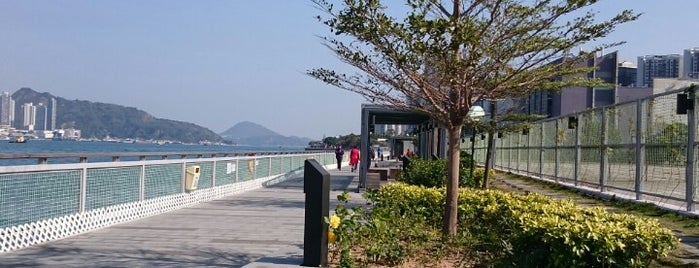 Quarry Bay Promenade is one of Favourite pet friendly places in Hong Kong.