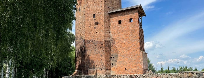 Ruiny Zamku Książąt Mazowieckich is one of Województwo Łódzkie - co warto zobaczyć.