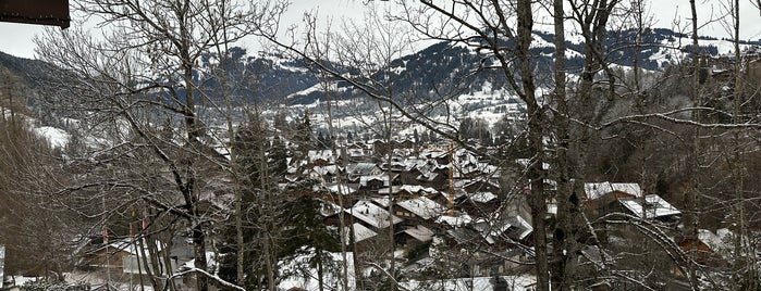 Park Gstaad is one of Deborahさんのお気に入りスポット.