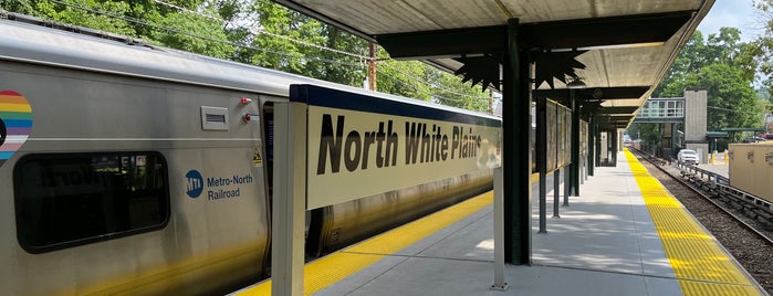 Metro North - North White Plains Station is one of MTA Arts for Transit.