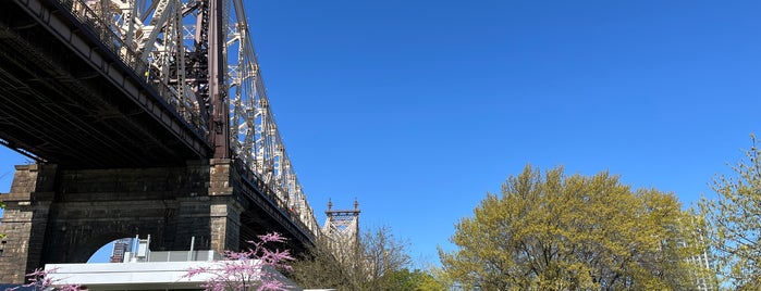 Queensbridge Park is one of New York - Food and Fun.