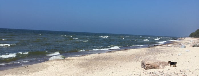 Karklé beach is one of Vaiva : понравившиеся места.
