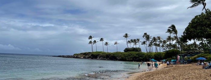Kapalua Bay Beach is one of Aloha from the middle of the Ocean.