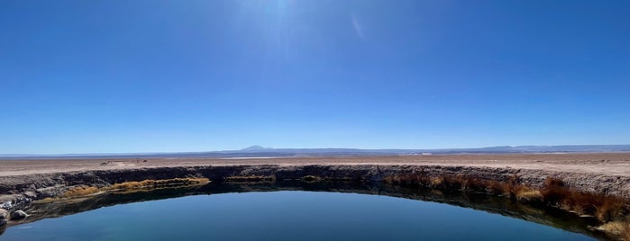 Ojos Del Salar De Atacama is one of Chile.