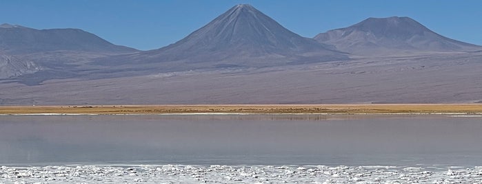 Laguna Tebinquiche is one of San Pedro de Atacama.