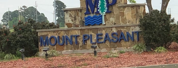 Mount Pleasant is one of Towns.